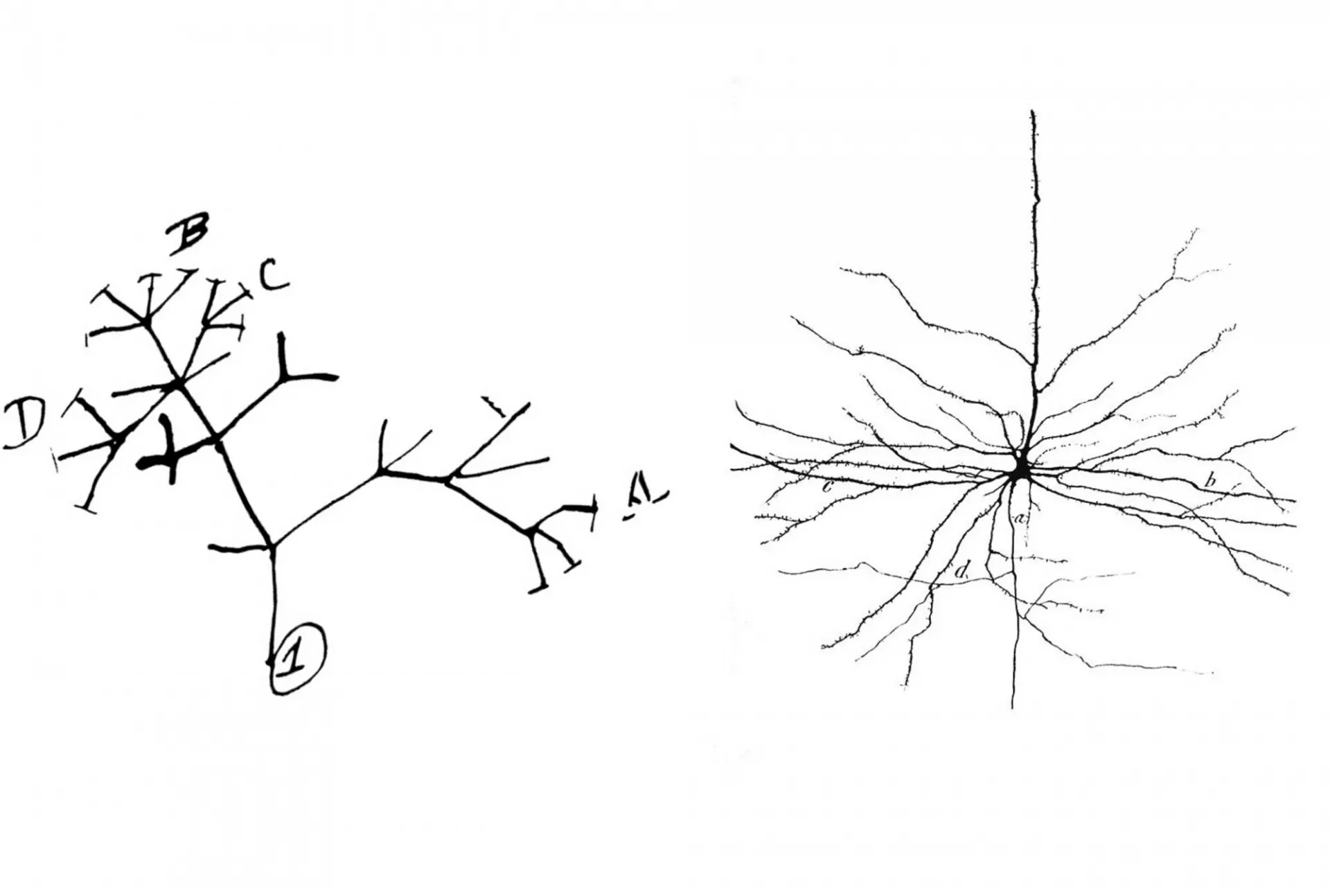 Bendesky Lab Cover Image