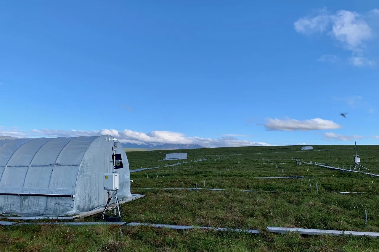 Alaska Field Site
