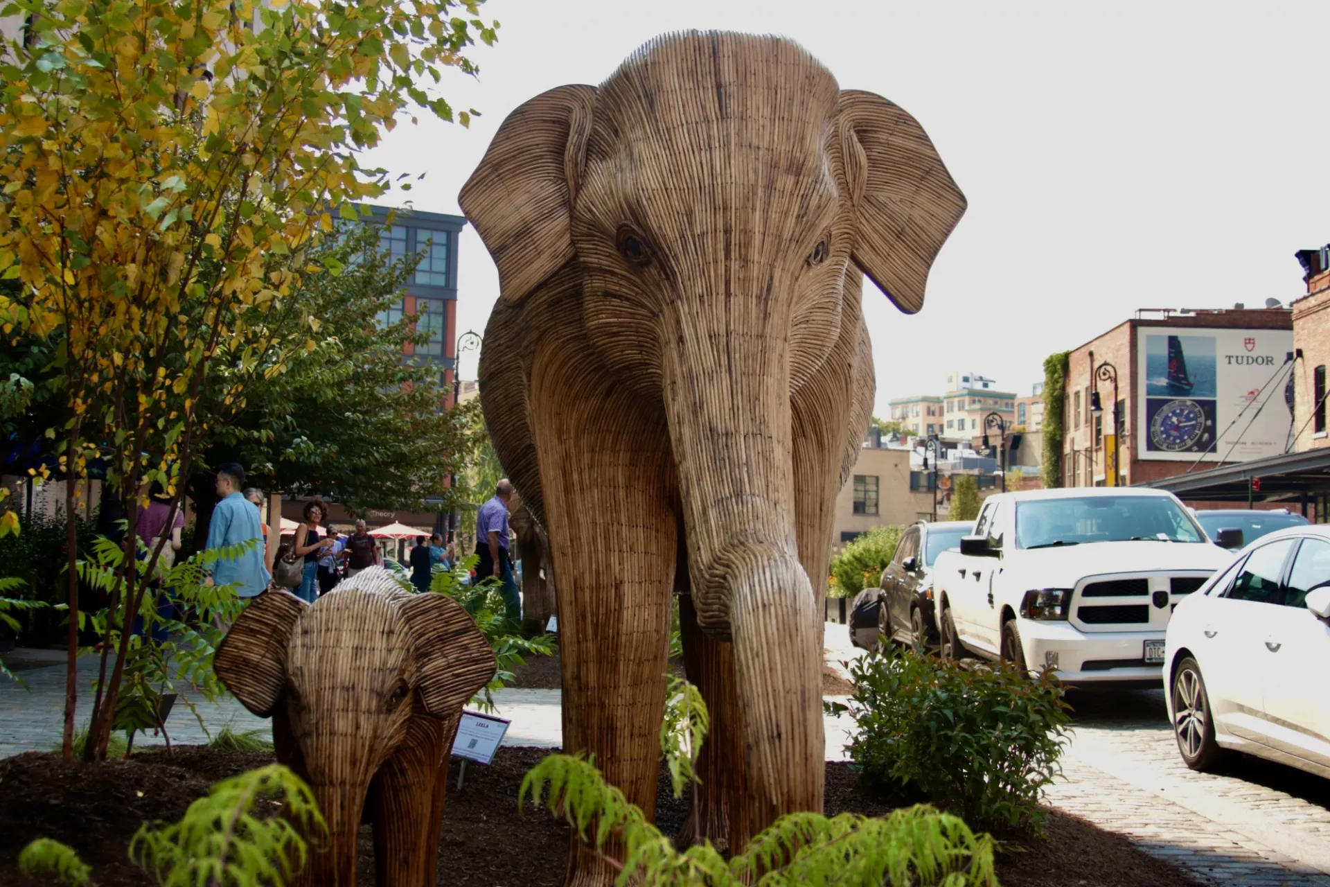 The Great Elephant Migration at Climate Week NYC