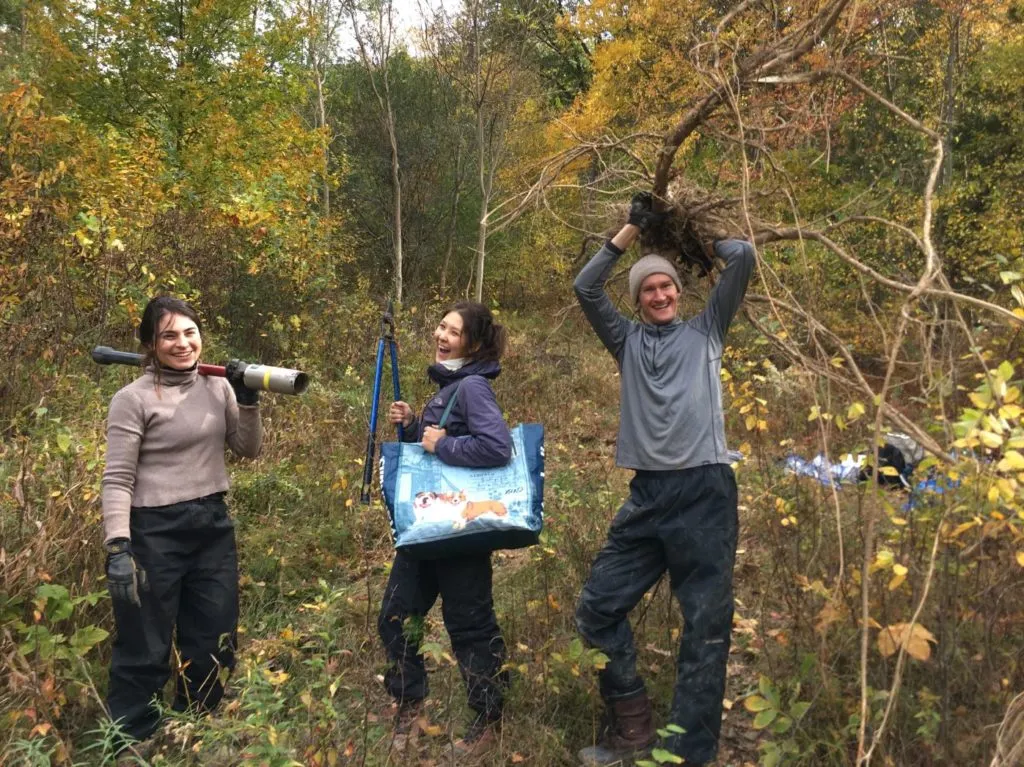 Three students holding tools and a small tree in a forest