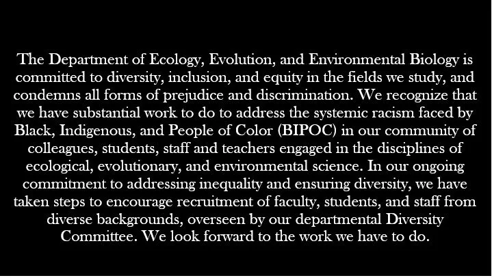 E3B diversity statement