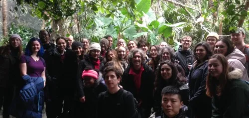 A large group of people in a jungle setting