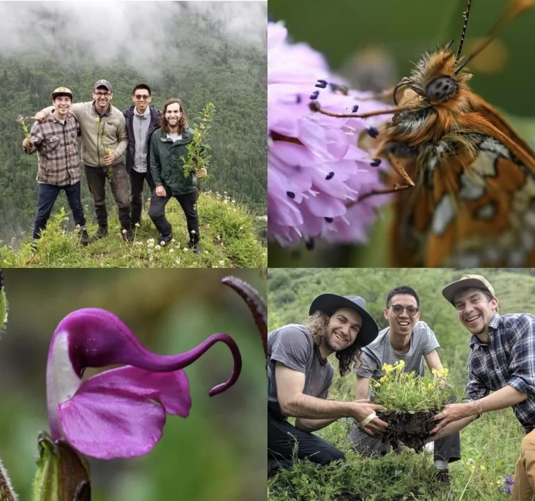Four squares showing a reasearch team, a butterfly, and a flower.