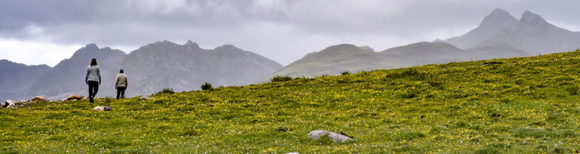 Field Courses