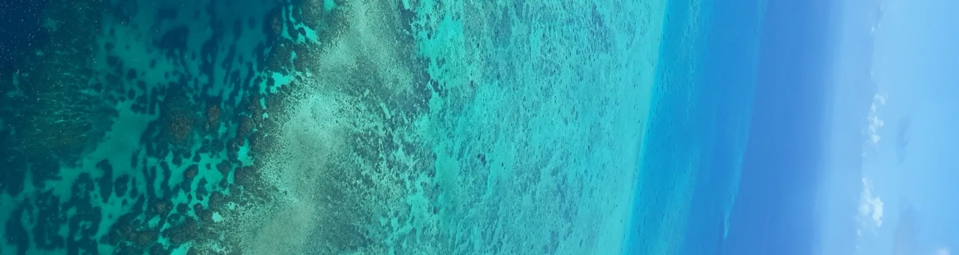 Overview