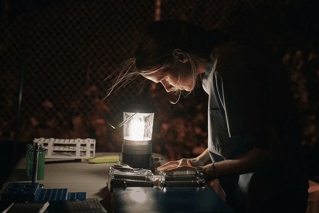 Laura Plimpton over a desk with a lantern.