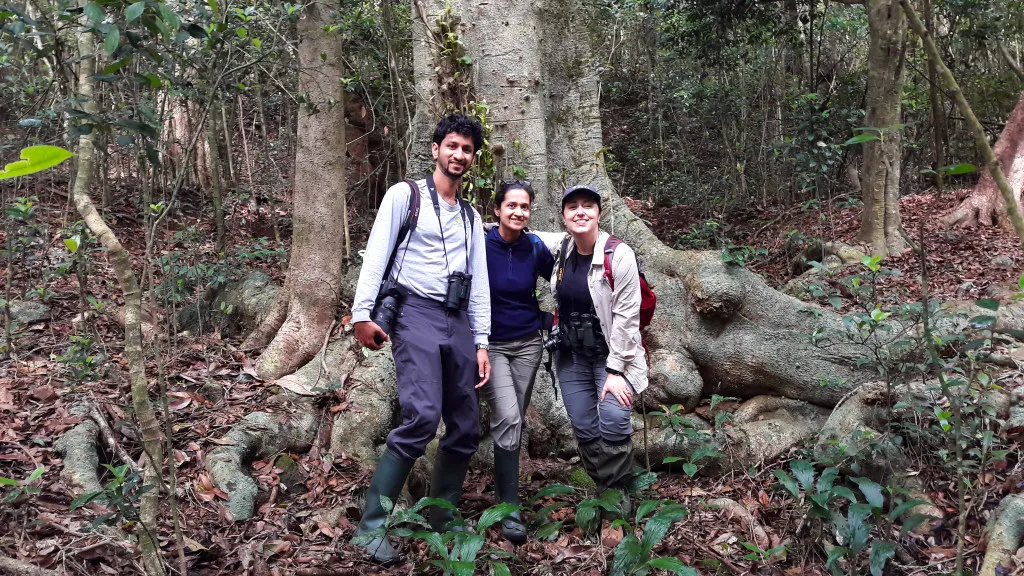 Three people standing in front of a tree in a forest
