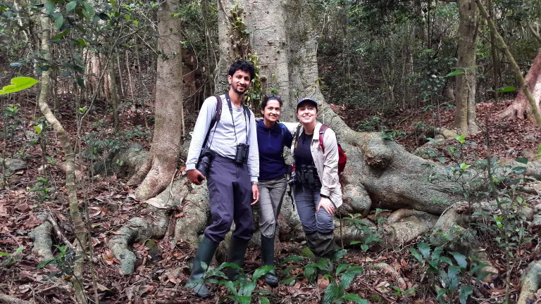 Three people standing together in a forest