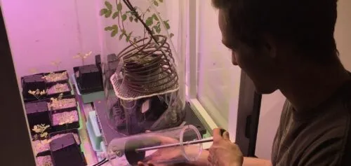 Thomas Bytnerowicz working with a plant